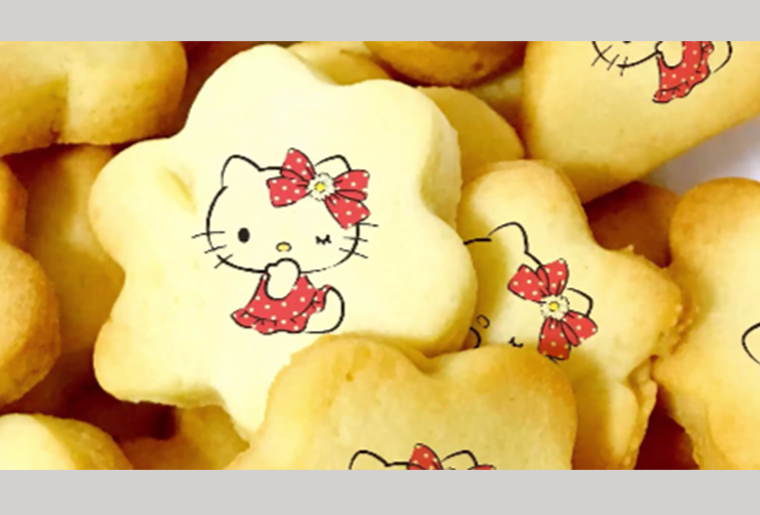 CA88S-2彩色喷码装备在食物行业上的应用